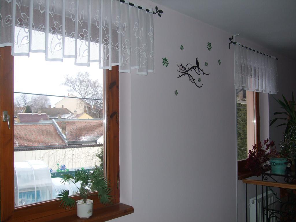 Timarhaz Panzio Bed & Breakfast Szeged Rom bilde